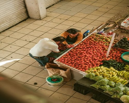 Fresh tomatoes, avocados and nopales displayed in a local Mexican tianguis