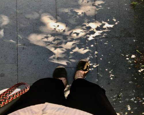 Comfortable shoes walking on a paved sidewalk in a tree-lined avenue
